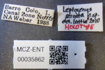 Media type: image;   Entomology 35862 Aspect: labels